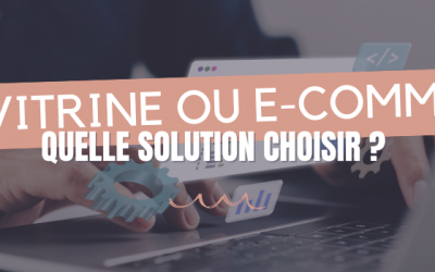 Site vitrine ou e-commerce : quelle solution choisir pour développer son activité en Lot-et-Garonne ?